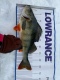 Ahven 1,41 kg