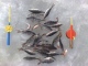 Ahven 1,00 kg