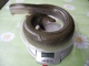 Ankerias 935 g