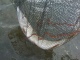 Hauki 3,20 kg