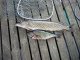 Hauki 4,10 kg