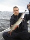Hauki 1,20 kg