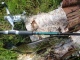 Hauki 390 g