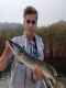 Hauki 2,30 kg