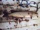 Hauki 6,50 kg