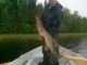 Hauki 7,85 kg