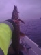 Hauki 2,50 kg