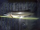 Hauki 11,00 kg