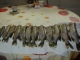 Hauki 13,00 kg