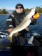 Hauki 4,38 kg
