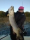 Hauki 6,42 kg