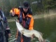 Hauki 9,20 kg