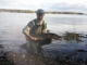 Hauki 5,00 kg