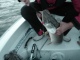 Hauki 5,20 kg
