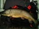 Hauki 8,30 kg