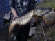 Hauki 3,80 kg