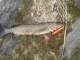 Hauki 2,00 kg