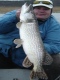 Hauki 4,65 kg