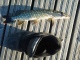 Hauki 300 g