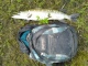 Hauki 2,18 kg