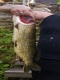 Hauki 4,80 kg