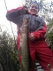 Hauki 2,50 kg