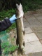 Hauki 1,85 kg