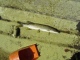 Hauki 278 g