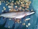 Hauki 2,35 kg