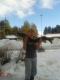 Hauki 5,47 kg