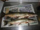 Hauki 3,00 kg