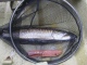Hauki 2,80 kg