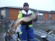 Hauki 6,30 kg