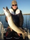 Hauki 5,28 kg