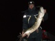 Hauki 4,93 kg