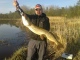 Hauki 5,10 kg