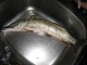 Hauki 1,00 kg