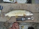 Hauki 2,20 kg