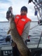 Hauki 11,66 kg