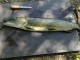Hauki 2,20 kg