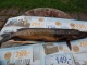 Hauki 975 g