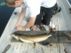 Hauki 4,93 kg