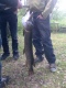 Hauki 4,90 kg