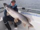 Hauki 7,43 kg