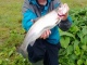 Kirjolohi 1,35 kg