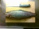 Kirjolohi 1,00 kg