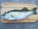 Kuha 540 g