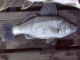 Kuha 600 g