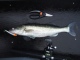 Kuha 2,10 kg