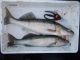 Kuha 2,30 kg